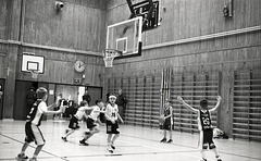 Basketball 3