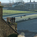 horses at Cliffe Road