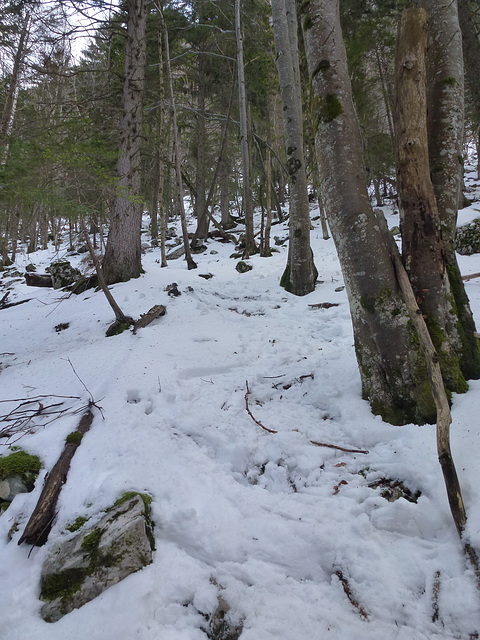 20150101 -03 Raquettes Vercors (80) al