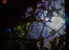 Looking Out Into The Illuminated Darkness