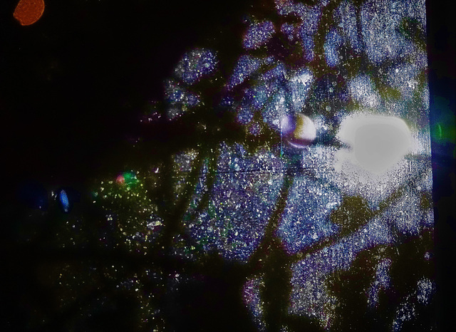 Looking Out Into The Illuminated Darkness