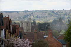 view from Divinity Road