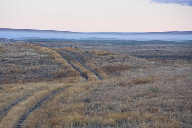 a trail into the Hills