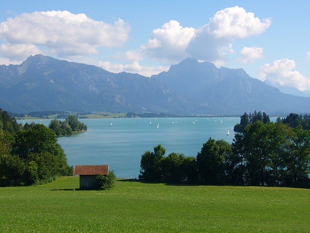 Forggensee