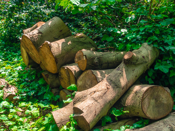 Log pile