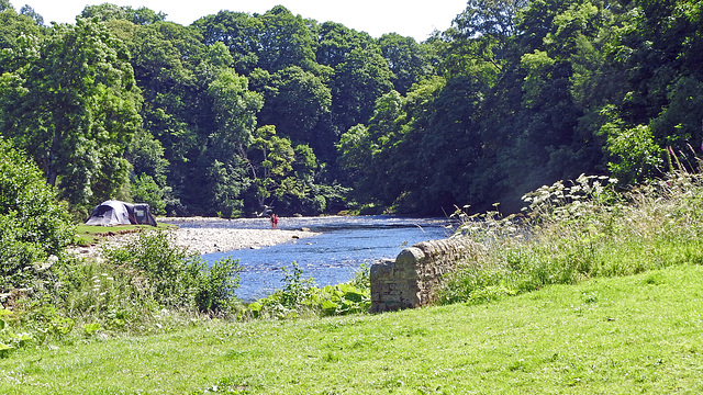 Peaceful confluence