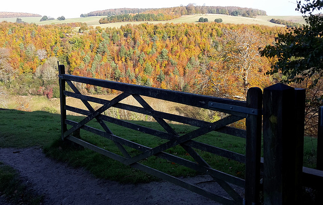 Autumn colours