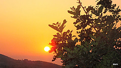 DSCF4283