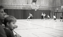 Basketball 5