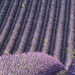 La Provence 1