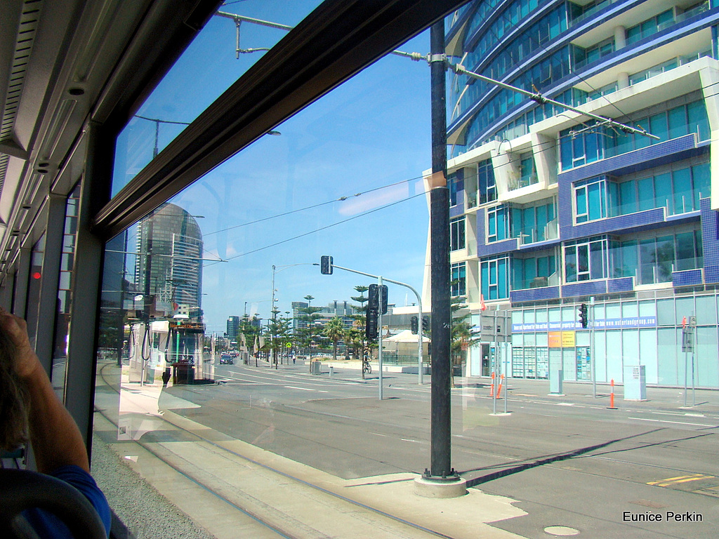 From a Bus Window