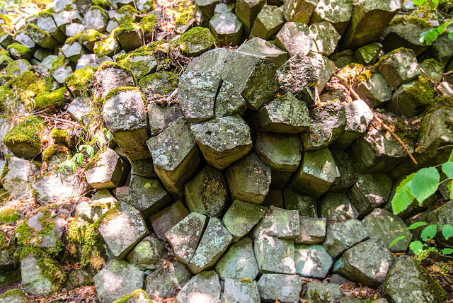 Basalt im Wald - 20150812