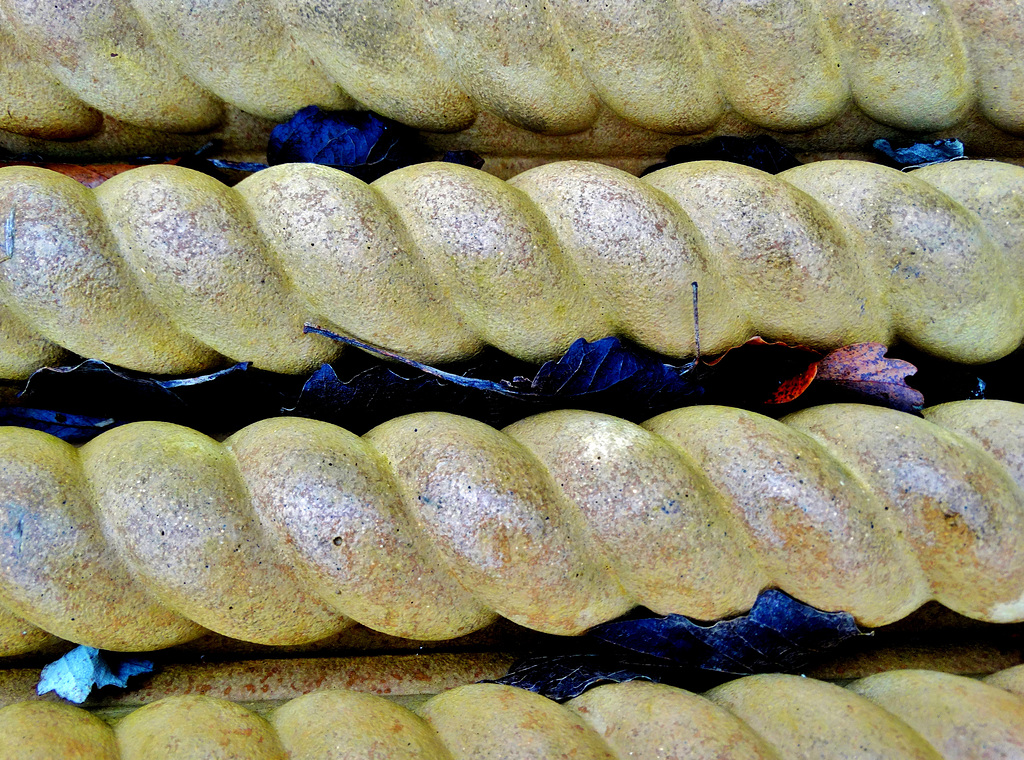 With Leaves 4