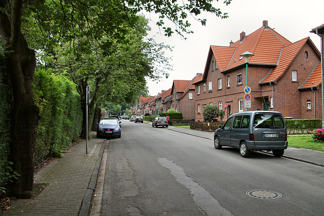 Schachtstraße (Siedlung Wehofen, Duisburg) / 16.07.2017