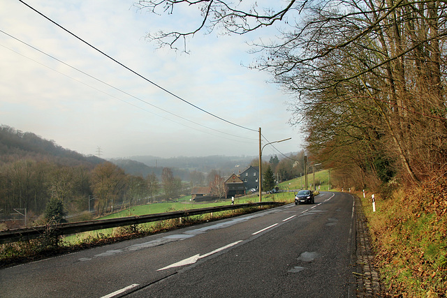 Kohlenstraße (Velbert-Nierenhof) / 10.01.2021