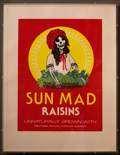 Sun Mad Raisins