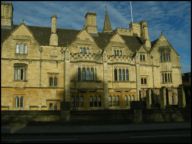 trees felled at Magdalen College