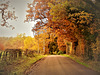 Autumn Roads
