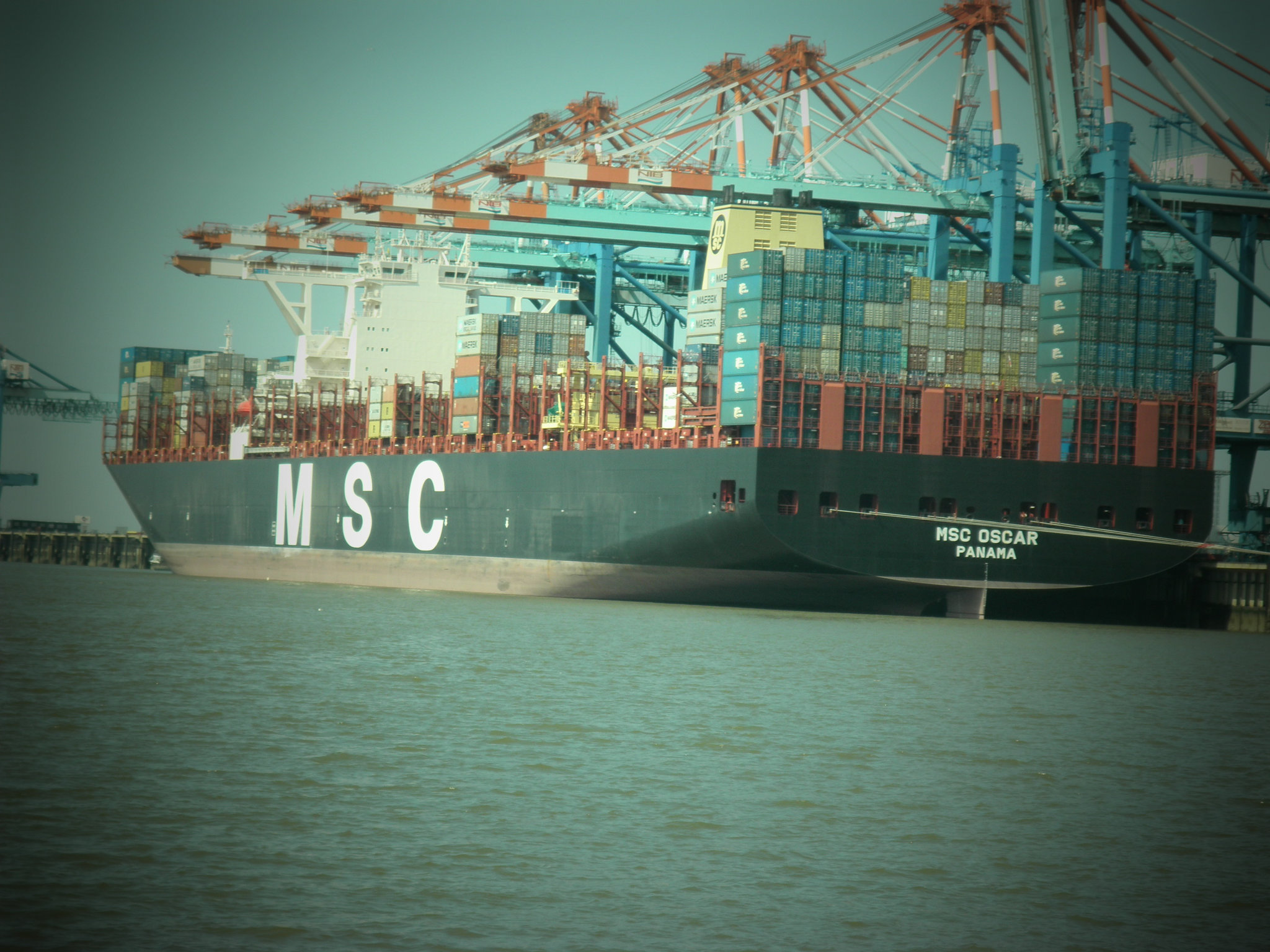 MSC OSCAR