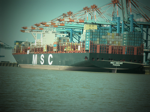 MSC OSCAR