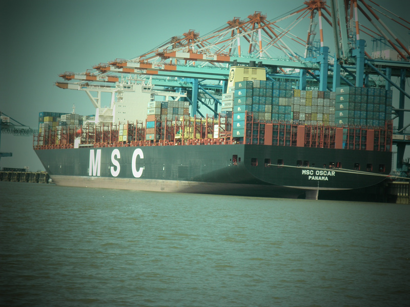 MSC OSCAR