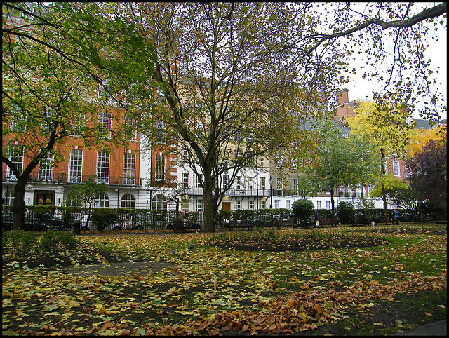 Queen Square melancholy