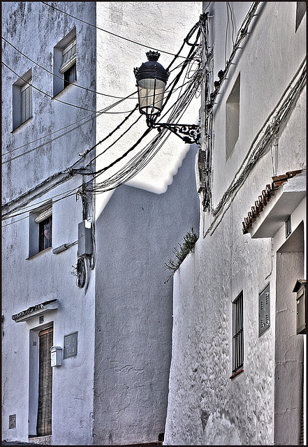 Casares