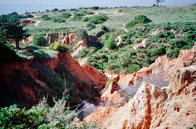 Erosion of rocks leading down to Praia de Joao de Arens (Scan from 1999)
