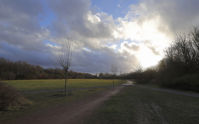 Ciel du terril