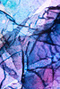 DSCF0402