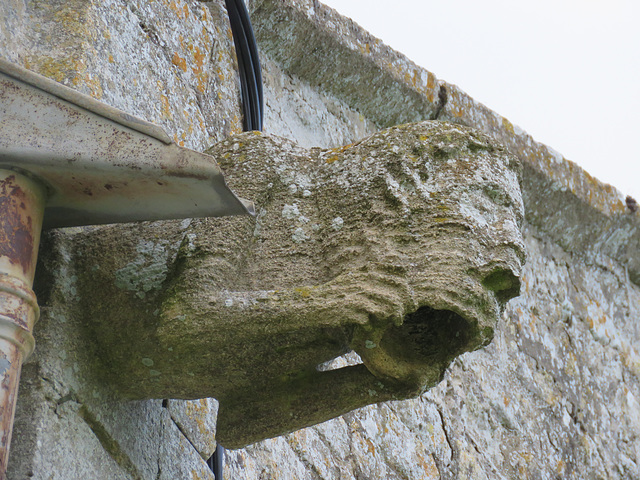 maxey church, hunts (2) c15 gargoyle