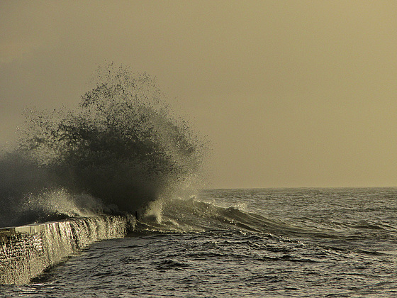 au creux de la vague