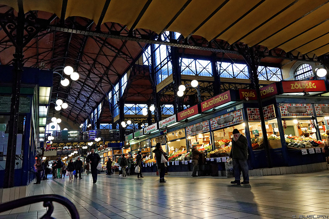 Große (auch: zentrale) Markthalle (© Buelipix)