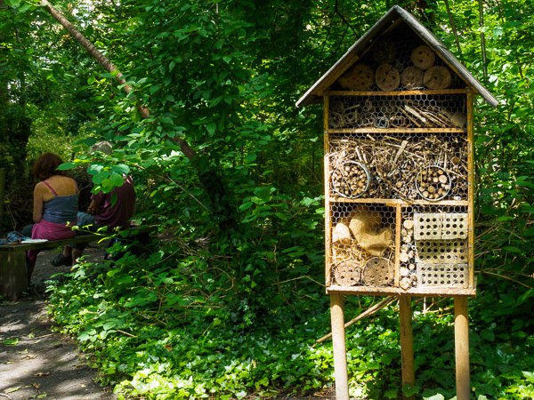 Insect house