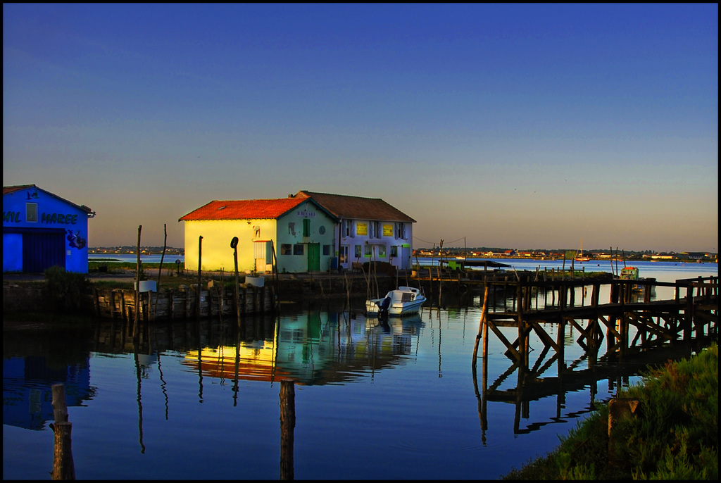 Morning Light At Marennes