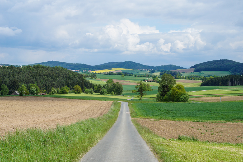 Radelpfalz