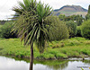 Edge of Lake Whakamaru