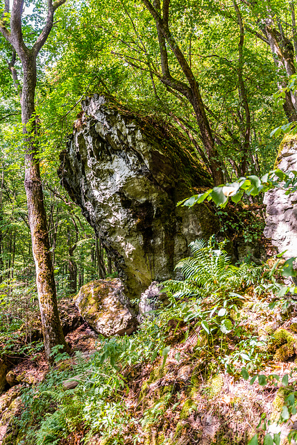 Am Teufelskeller - 20150812