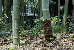 Bamboo sheath