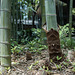 Bamboo sheath