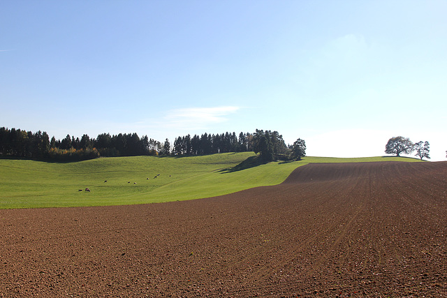 Herbst in Oberschwaben  (Note)