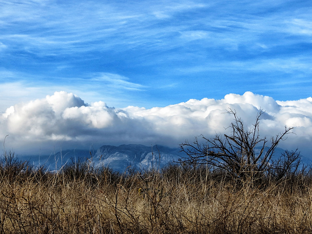 A Promise Of Weather