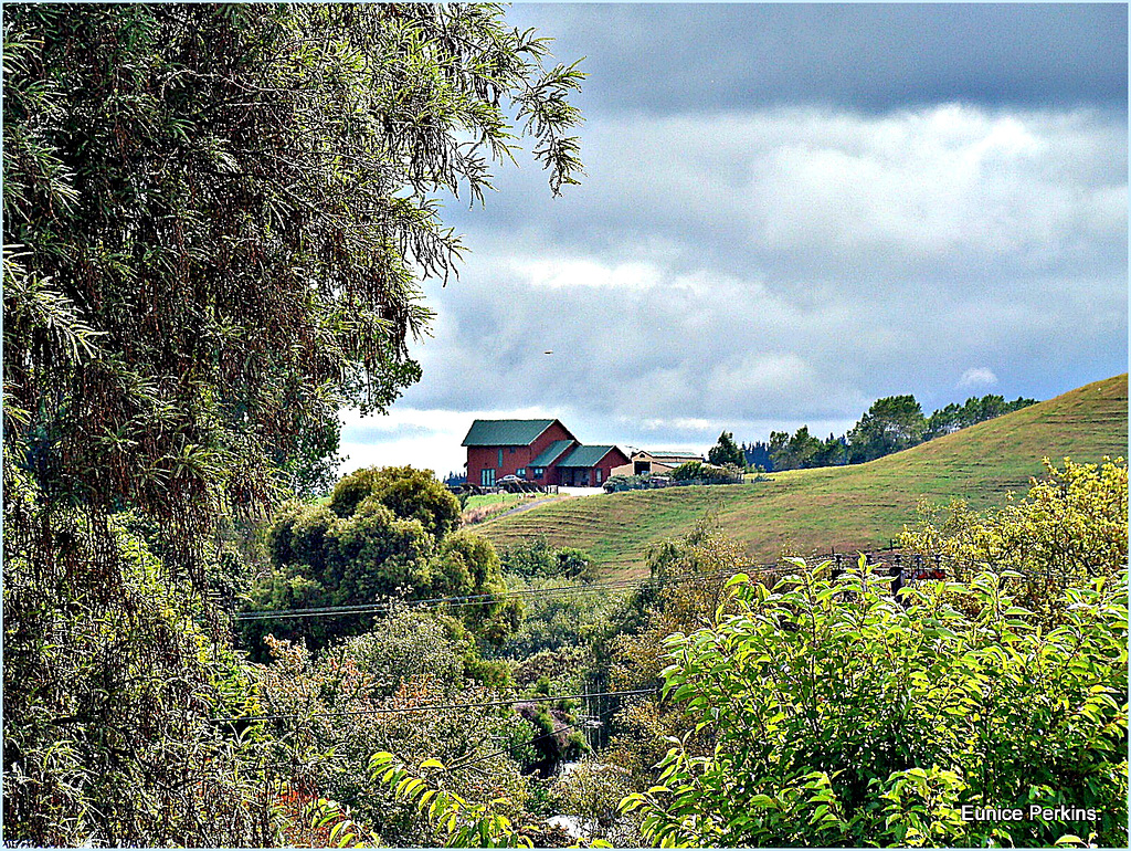 House on the Hill