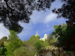 Notre Dame de la Garde, dans un ciel bleu, auréolée de verdure !