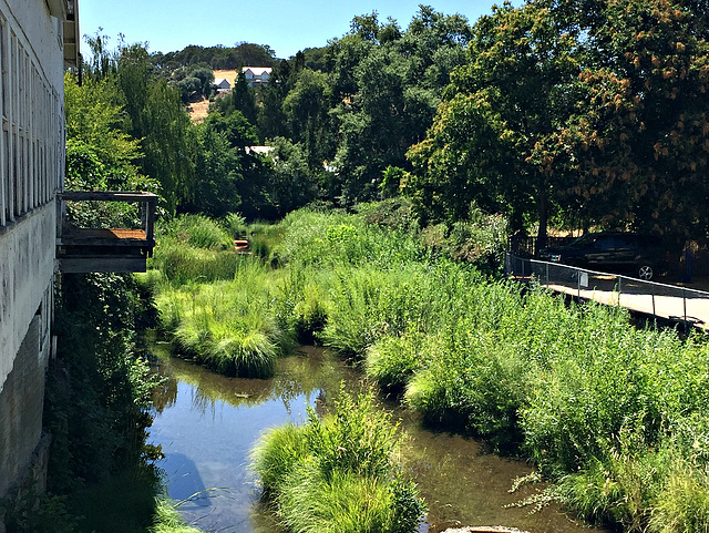 Sutter Creek