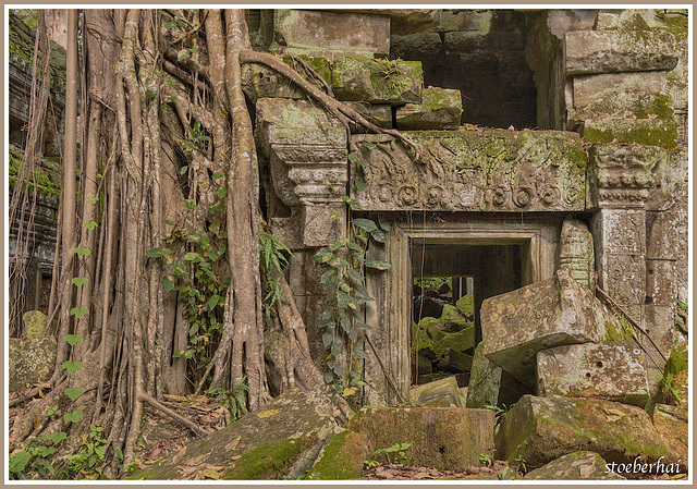 Ta Prohm Temple (3)