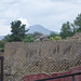 DSC05596