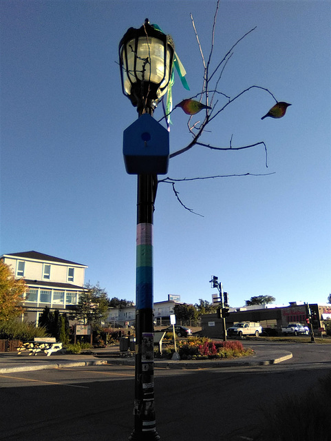 Lampadaire à oiseaux / Poste de luz de pássaro