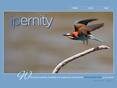 ipernity homepage with #1167