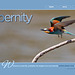 ipernity homepage with #1167